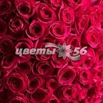 букет Роза красная 80см
