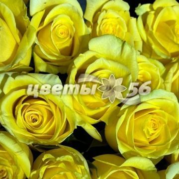 букет Роза Желтая 60-70см